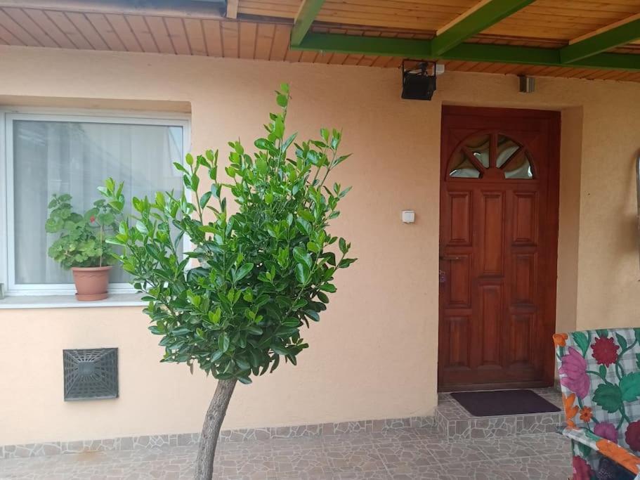 D38 Pestelizabeth Apartman Budapeste Exterior foto